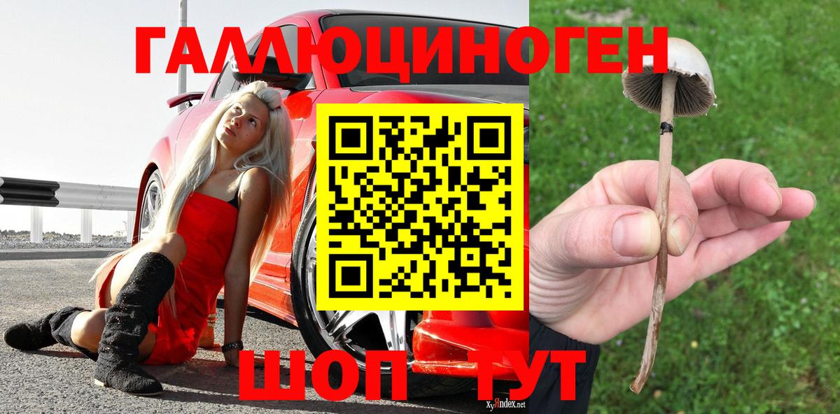 Псилоцибиновые грибы Psilocybe  Псилоцибиновые грибы Psilocybe  Семилуки  Вход с VPN 