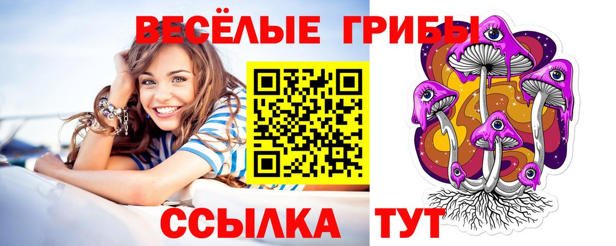 Галлюциногенные грибы Psilocybe Семилуки